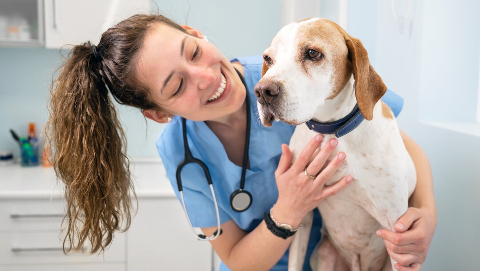 Best Vet Schools in Glasgow, UK