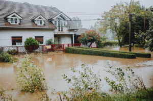 Fix Water Emergencies and Maintain Your Property
