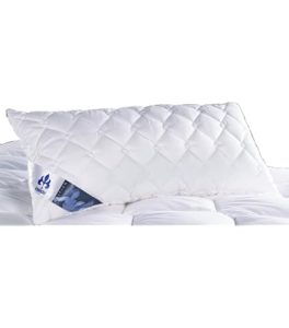Best Badenia Bettcomfort pillows