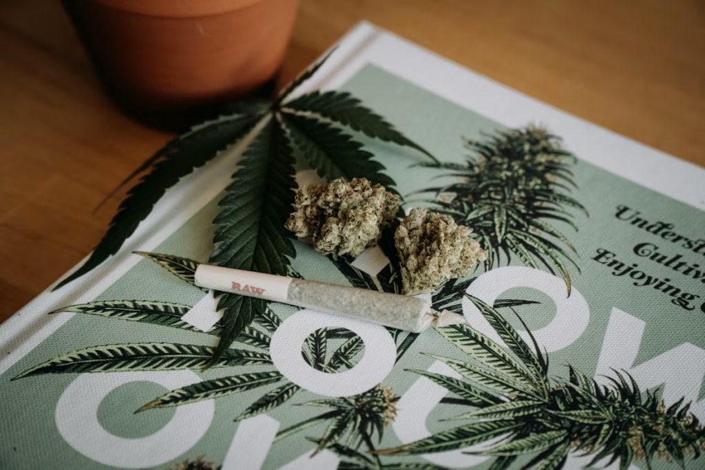 Why More Consumers Are Using the Best Weed Delivery Service in Glasgow