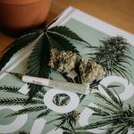 Why More Consumers Are Using the Best Weed Delivery Service in Glasgow