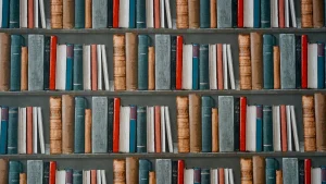 Unexpected Lessons Hidden in Ordinary Daily Routines